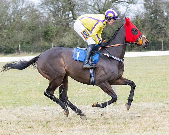 Race 7 - 7 and over Maiden (75 of 205)