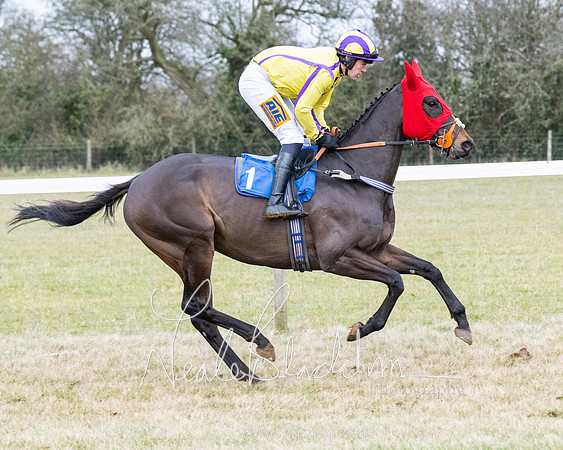 Race 7 - 7 and over Maiden (76 of 205)