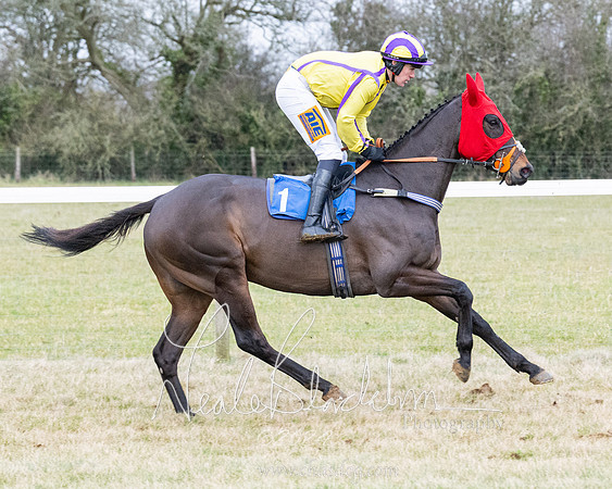 Race 7 - 7 and over Maiden (77 of 205)