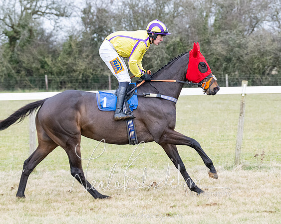 Race 7 - 7 and over Maiden (78 of 205)