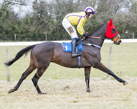 Race 7 - 7 and over Maiden (79 of 205)