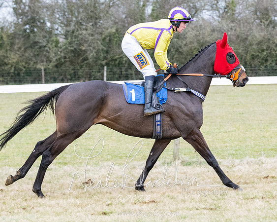 Race 7 - 7 and over Maiden (80 of 205)