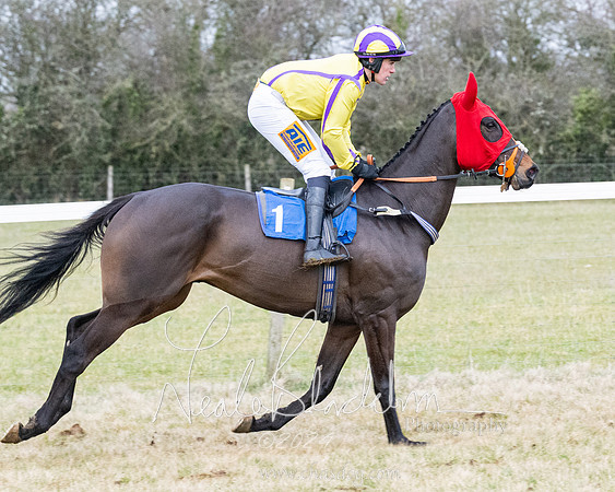 Race 7 - 7 and over Maiden (81 of 205)