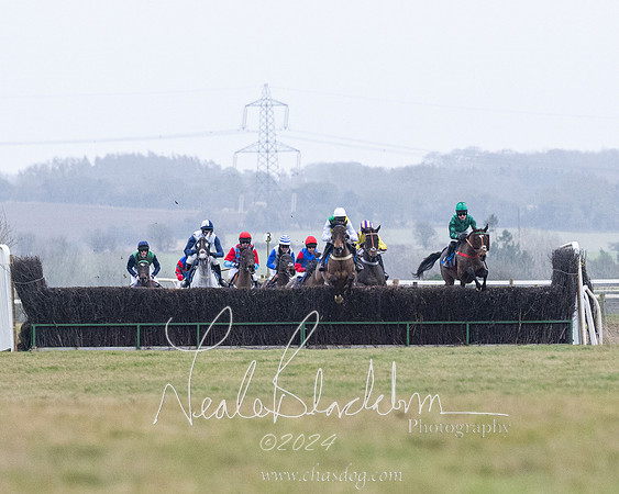 Race 7 - 7 and over Maiden (83 of 205)