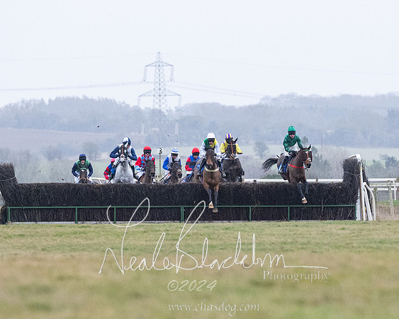 Race 7 - 7 and over Maiden (85 of 205)