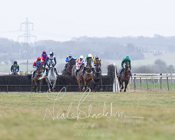 Race 7 - 7 and over Maiden (87 of 205)