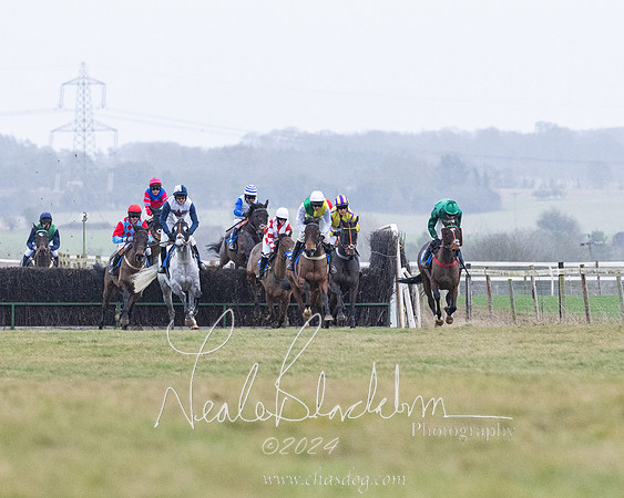 Race 7 - 7 and over Maiden (88 of 205)