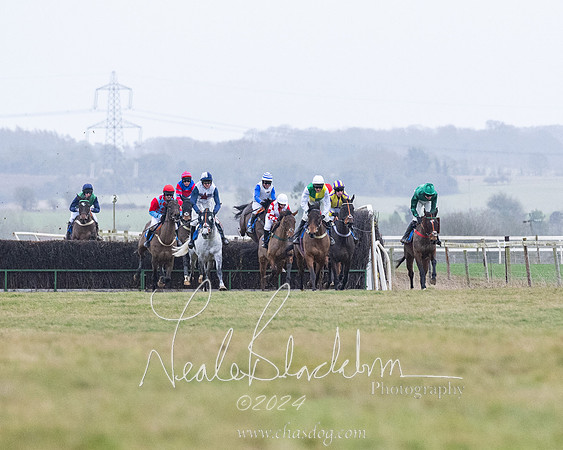 Race 7 - 7 and over Maiden (89 of 205)