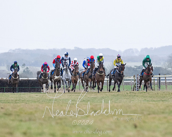 Race 7 - 7 and over Maiden (91 of 205)