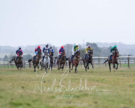 Race 7 - 7 and over Maiden (92 of 205)