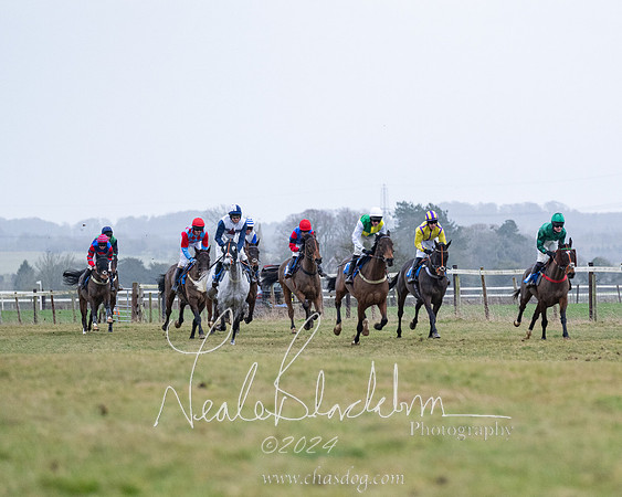 Race 7 - 7 and over Maiden (93 of 205)