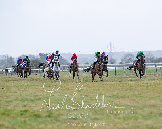 Race 7 - 7 and over Maiden (95 of 205)