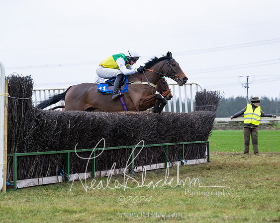Race 7 - 7 and over Maiden (97 of 205)