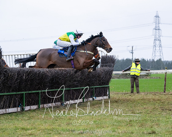 Race 7 - 7 and over Maiden (98 of 205)