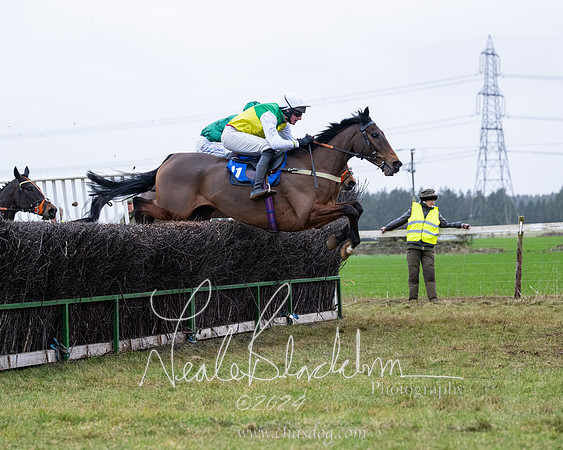 Race 7 - 7 and over Maiden (99 of 205)