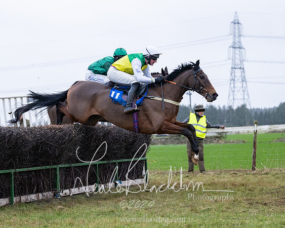 Race 7 - 7 and over Maiden (100 of 205)