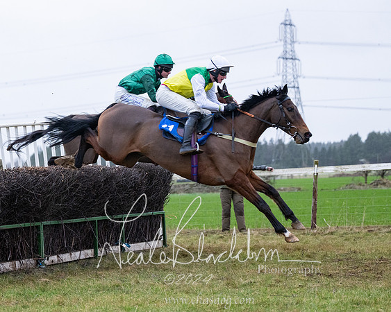 Race 7 - 7 and over Maiden (101 of 205)