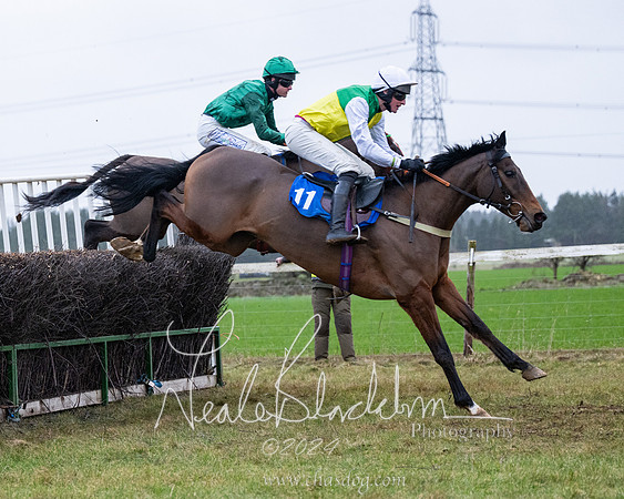 Race 7 - 7 and over Maiden (102 of 205)