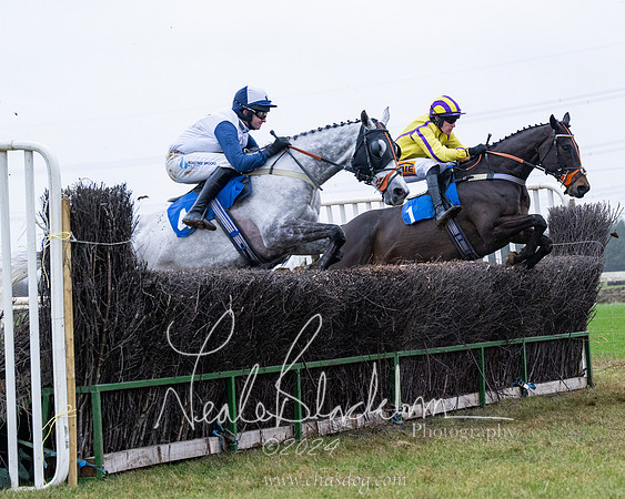 Race 7 - 7 and over Maiden (103 of 205)
