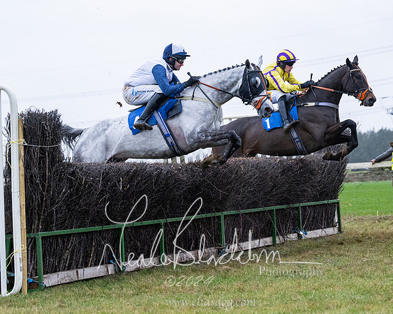 Race 7 - 7 and over Maiden (104 of 205)