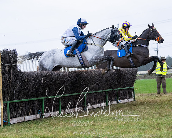 Race 7 - 7 and over Maiden (105 of 205)