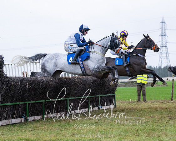 Race 7 - 7 and over Maiden (106 of 205)