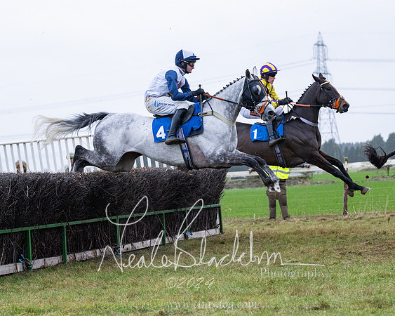 Race 7 - 7 and over Maiden (107 of 205)