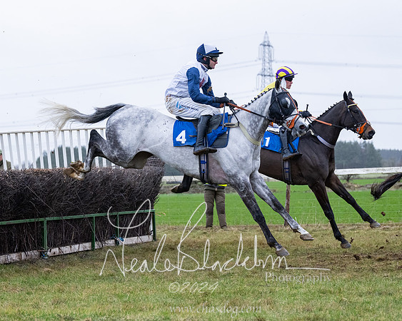 Race 7 - 7 and over Maiden (109 of 205)