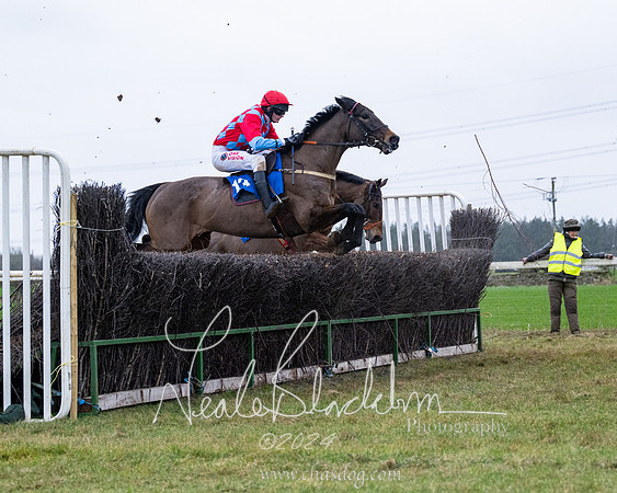Race 7 - 7 and over Maiden (110 of 205)