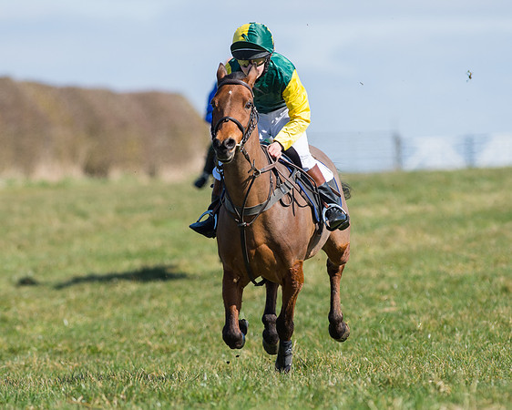 Oakley Ponies (28 of 96).jpg