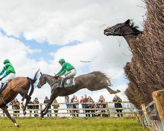 Race 2 - Young Horse Maiden (53 of 104)