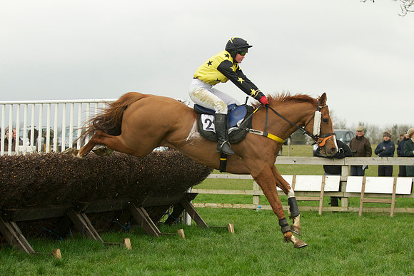 Race 5 - 44