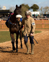 Race 1 - 4-5-6 Maiden (13 of 119).jpg
