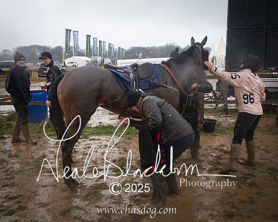 Race 7 - 3m Maiden (86 of 94)-Enhanced-NR