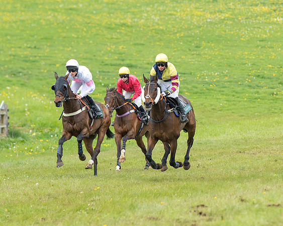Race 4 - Mixed Open   (34 of 80)