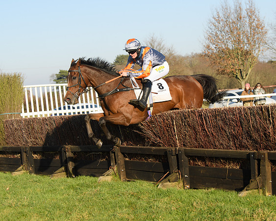 Race 2 - PPORA Novice Riders  (197 of 205)