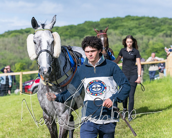 Race 6 - The Maiden  (38 of 448)