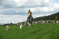 Race 3 -  5
