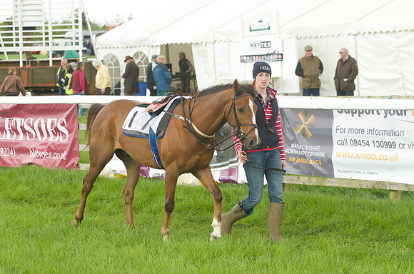 Pony Race - 2    6