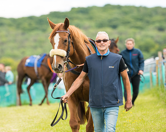 Race 1 - Owner Trainer Conditions  (23 of 133)