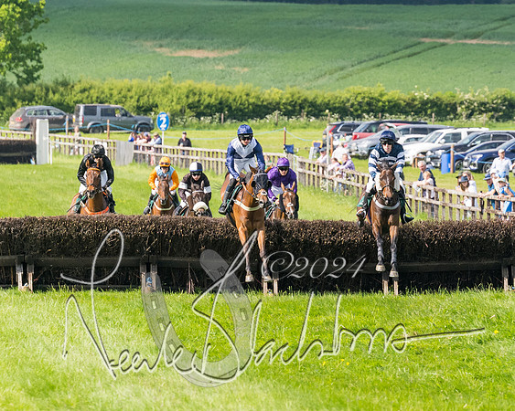 Race 4 - PPORA Novice Riders Final  (147 of 362)