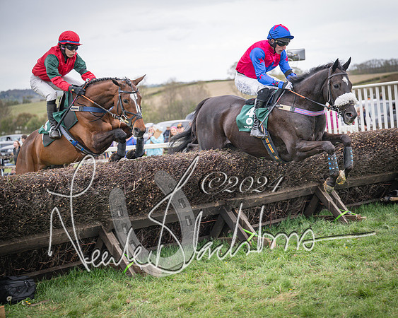 Race 6 - The Restricted Race (34 of 101)