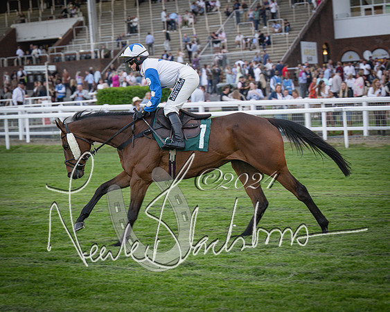Race - 7 The Royal Gloucester Hussars Open Hunter's steeplechase 2m4f 127y (22 of 210)
