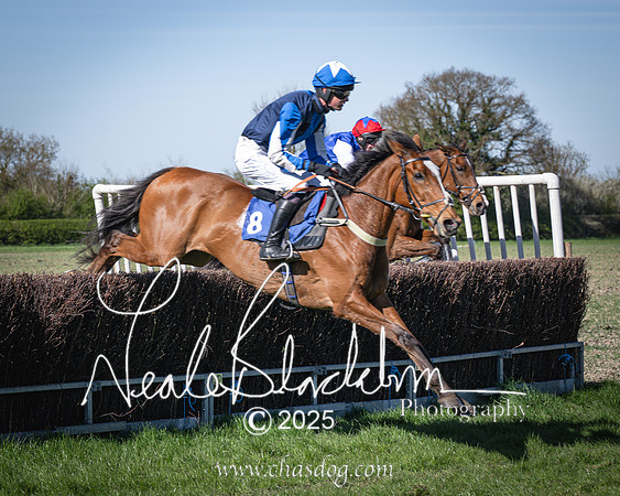 Race 6 - Veteran horse (73 of 109)
