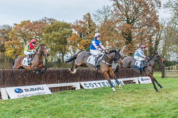 2 Mile 4 Furlong Maiden Race -19