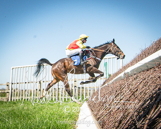 Race 2 - The Maiden (95 of 118)