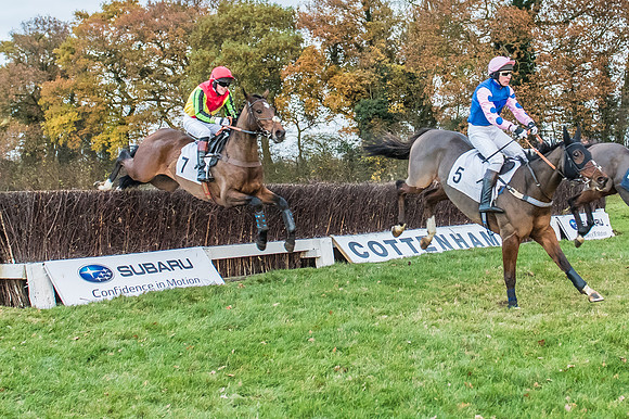 2 Mile 4 Furlong Maiden Race -20