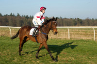 Races 6 - Open Maiden 4