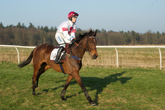 Races 6 - Open Maiden 4
