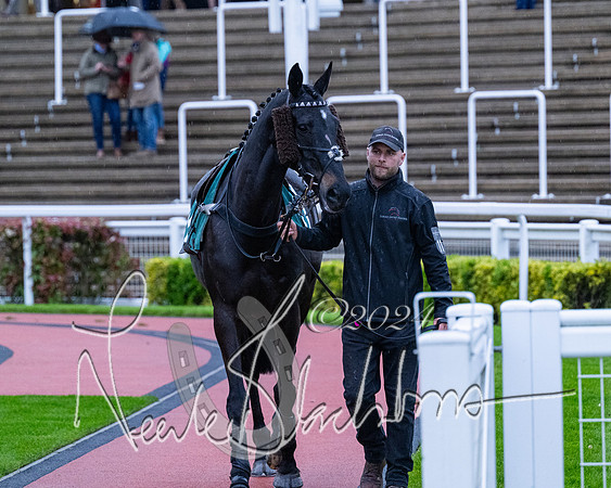 Race 7 - Glos Hussars (15 of 220)